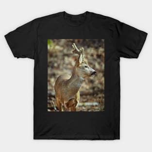 Roe buck in the forest T-Shirt